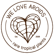 We Love Aroids