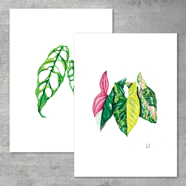 2er Pack – 50x70 - 2 Motive nach Wahl - We love Aroids x JB Botanical Arts